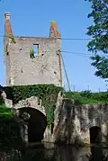 Ruine des Herrenhauses Fleury-la-Tour