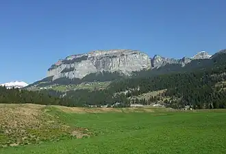 Flimserstein