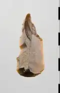 Kombinationswerkzeug: Ahle und Schaber, Jungpaläolithikum, sog. Hamburger Kultur, ca. 12.900 bis 11.800 v.&nbsp;Chr., FO: Barneveld-Stroe AO: Museum Het Valkhof
