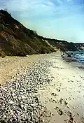 Aus Kreidefelsen ausgewaschene Feuersteine auf Rügen