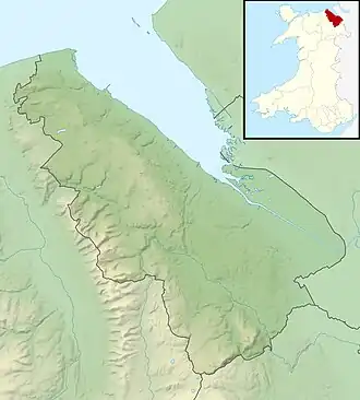 Flint Castle (Flintshire)
