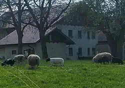 In Österreich