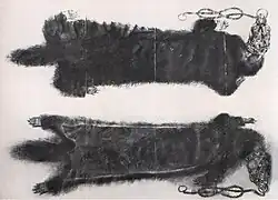 Vorder- und Rückseite