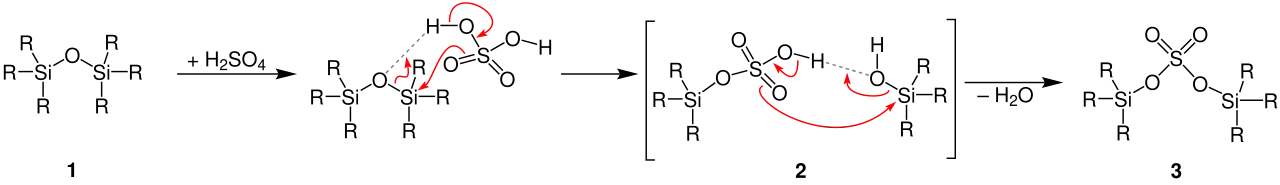 Flood-Reaktion Mechanismus1