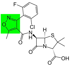 Strukturformel des Flucloxacillin mit grün hervorgehobenem Isoxazolring
