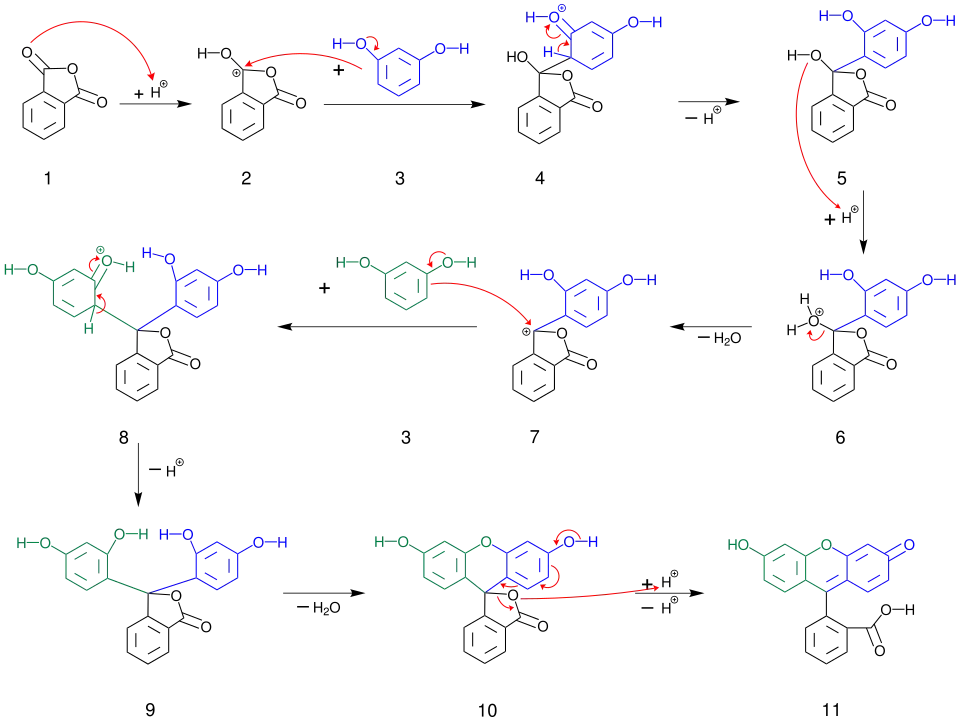 Mechanismus der Fluoresceinsynthese