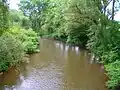 Kyll kurz vor der Mündung in die Mosel