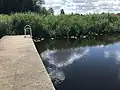 Badesteg in idyllischer Natur