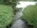 Der Flutgraben mündet in den Main