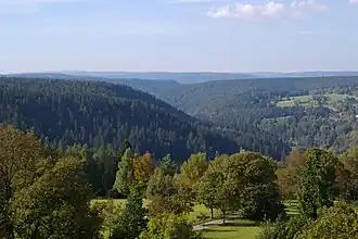 Der Taleinschnitt in die Buntsandsteinhochfläche bei Freudenstadt