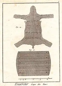 Schnittanlage in einem Wolfsfell zur Herstellung von zwei Muffen (zwischen 1762 und 1777)