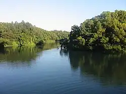 Der See