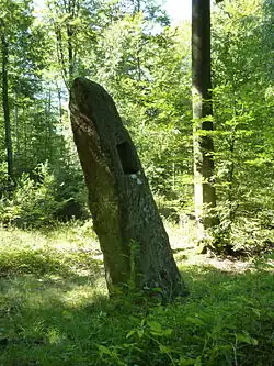 Spitz- und Zwölfapostelstein