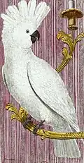 Kakadus als Haustier, Darstellung von 1790