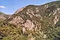 Typische Landschaft