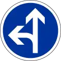 B21d2: vorgeschriebene Fahrtrichtung – geradeaus oder links (Directions obligatoires tout droit ou à gauche à la prochaine intersection)