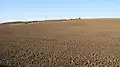 Agrarsteppe