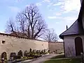 Friedhof mit Linde