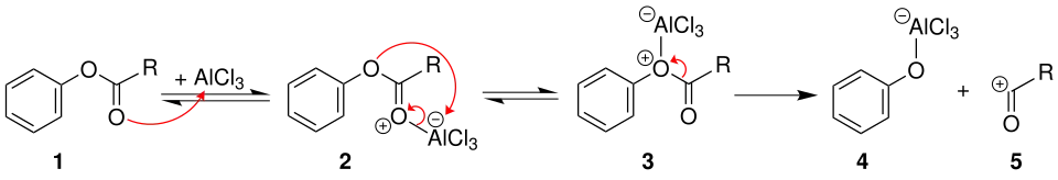 Mechanismus 1 der Fries-Umlagerung