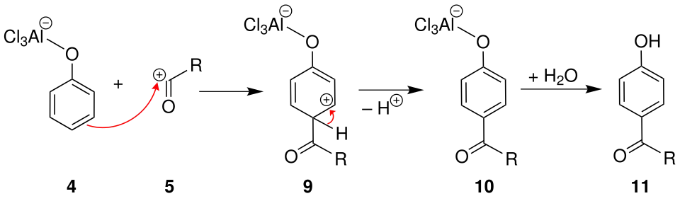 Mechanismus 3 der Fries-Umlagerung