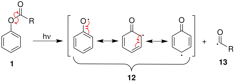 Mechanismus 1 der Photo-Fries-Umlagerung über Radikale
