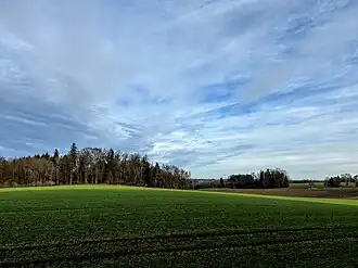 Fuchsberg