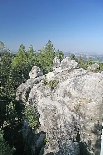 Fuchskanzel