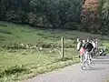 Wildgehege bei der Sommersmühle