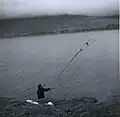 Ein Färinger beim Fangen eines Eissturmvogels (havhestur) mit der sogenannten „fleygastong“ nördlich von Múli im Jahr 1961.