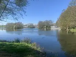Aueweiher