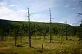 Landschaft in Fulufjället