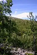 Blick über das Fulufjäll