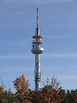 Bild des Objektes