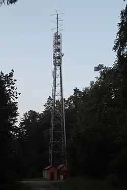 Bild des Objektes