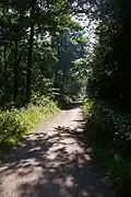 Die Furth im Further Moor
