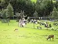 Wildpark Ferleiten (zu Fusch)