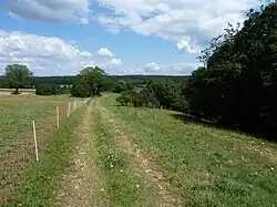 Gänsberg