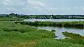 Im Donaumoos (Mooswaldseen)