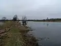 Swinowbach vor der Peeneeinmündung - durchfließt Torfstich, genannt - Kanal