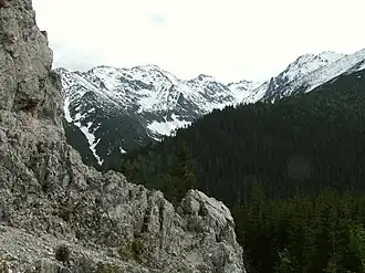 Blick von der Gęsia Szyja