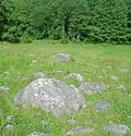Findlinge im Bachanowo