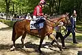 Fünftplatzierte Stute Fast Attack aus England mit Jockey Adrie de Vries kurz vor verlassen des Führrings
