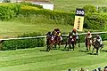 170 Meter hat Txope klar die Führung übernommen, Nandina fällt zurück und Dishina rückt auf den zweiten Platz vor
