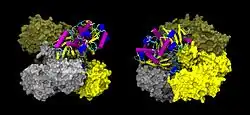 Glyceraldehyd-3-Phosphat-Dehydrogenase