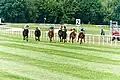 200 Meter vor dem Ziel schieben sich Sammarco und Amazing Grace an dem lange führenden Queroyal vorbei