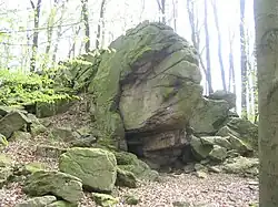 Gneis – Felsen in der Form eines Schildkrötenkopfes (Böllstein-Wallbrunn)