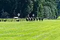 450 Meter vor dem Ziel liegt Tünnes vor Best of Lips und Al Riffa in Führung