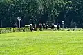 220 Meter vor dem Ziel hat Al Riffa den lange führenden Tünnes passiert. Dahinter Narrativo vor Best of Lips und Mr. Hollywood