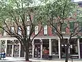 3rd Street in German Village