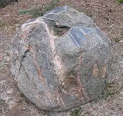 Gneis 2000 mya